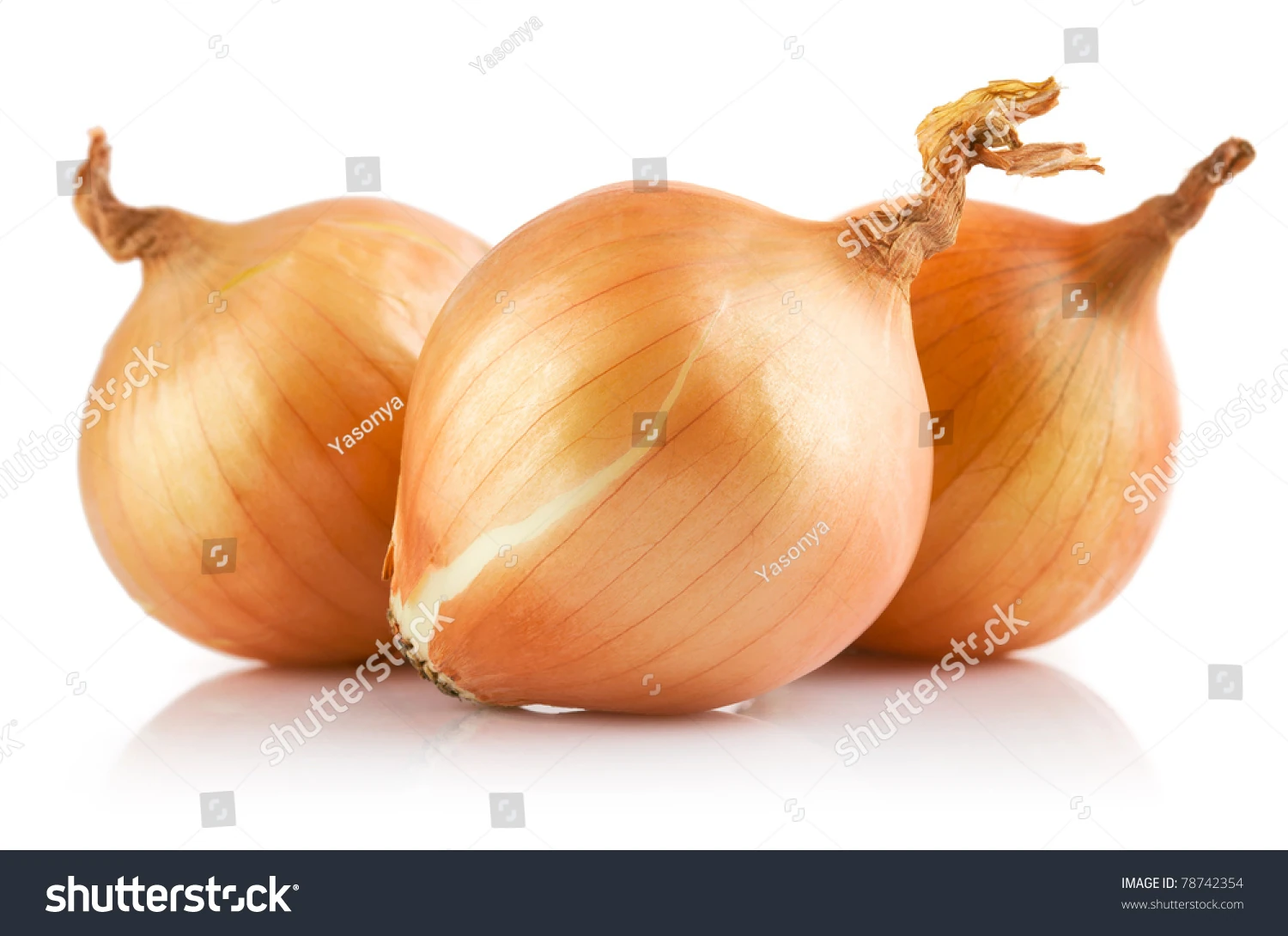 Fresh Onions